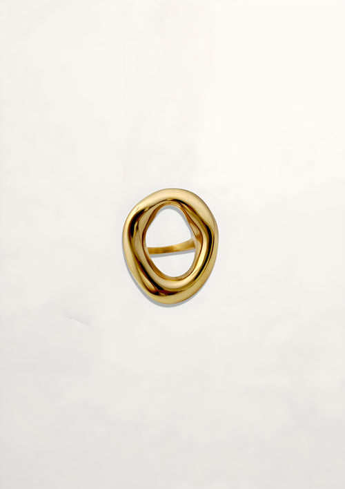 ANILLO CIRCULO IRREGULAR
