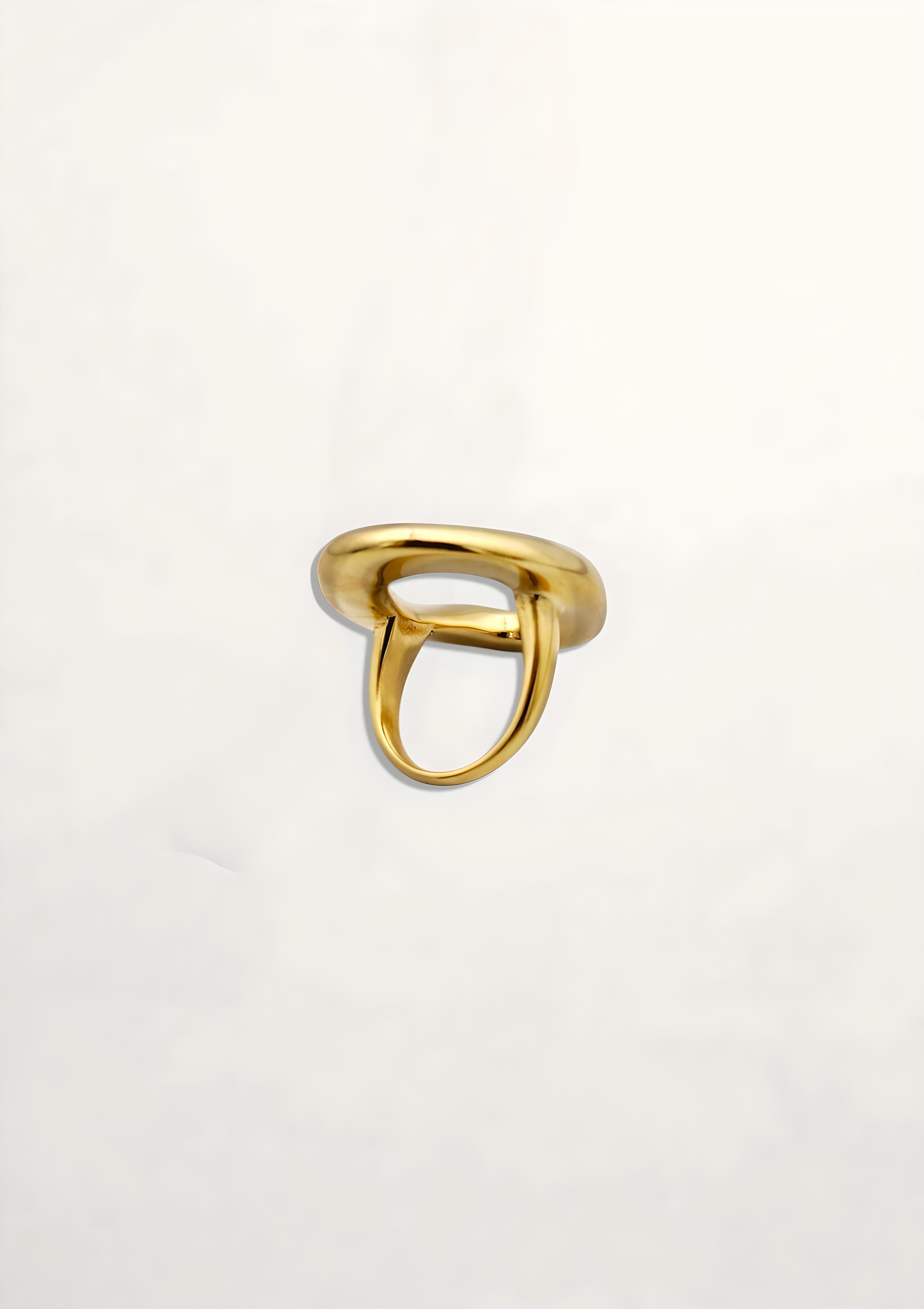 ANILLO CIRCULO IRREGULAR