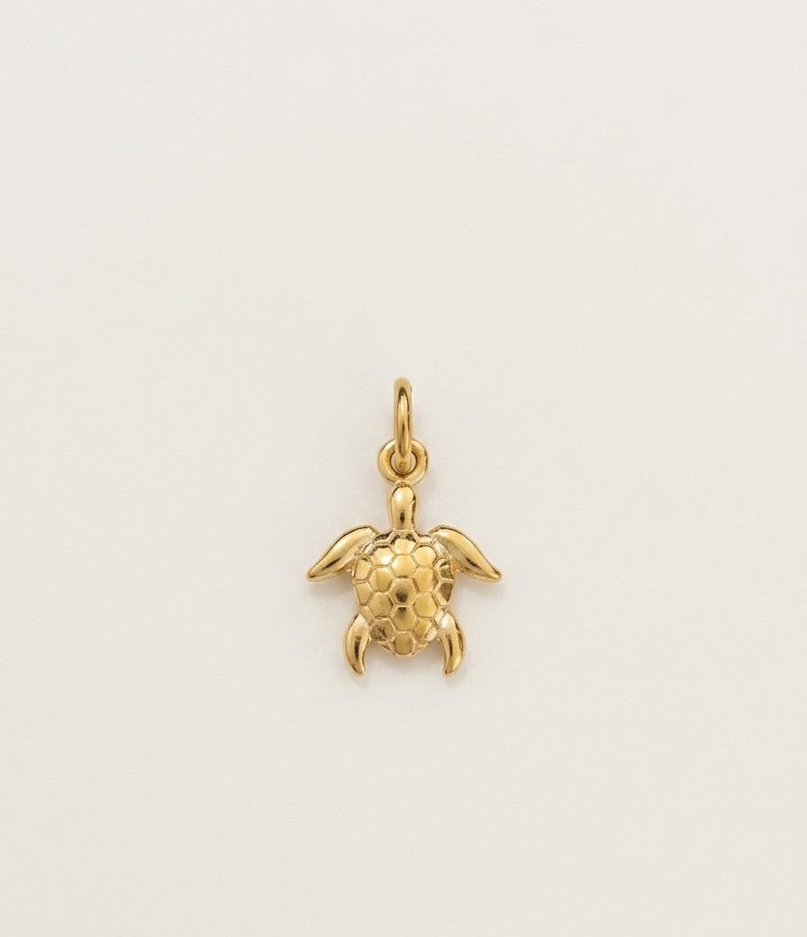 Charm tortuga