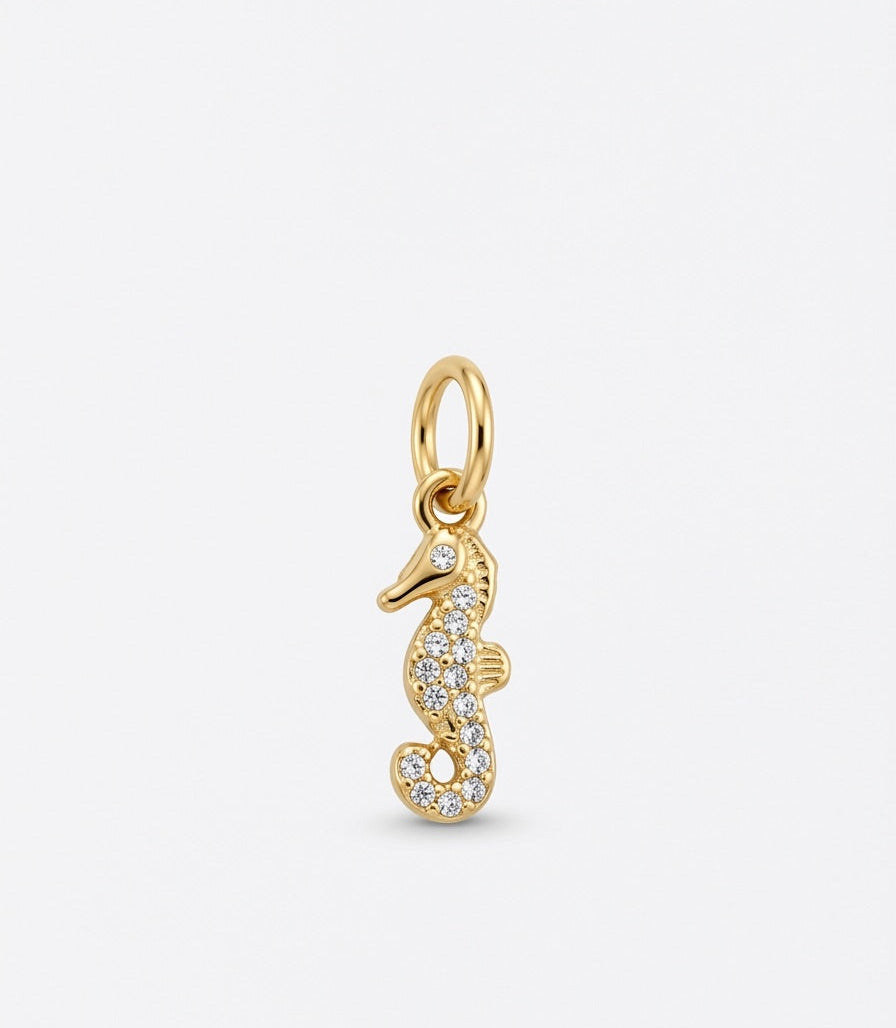 Charm caballito de mar