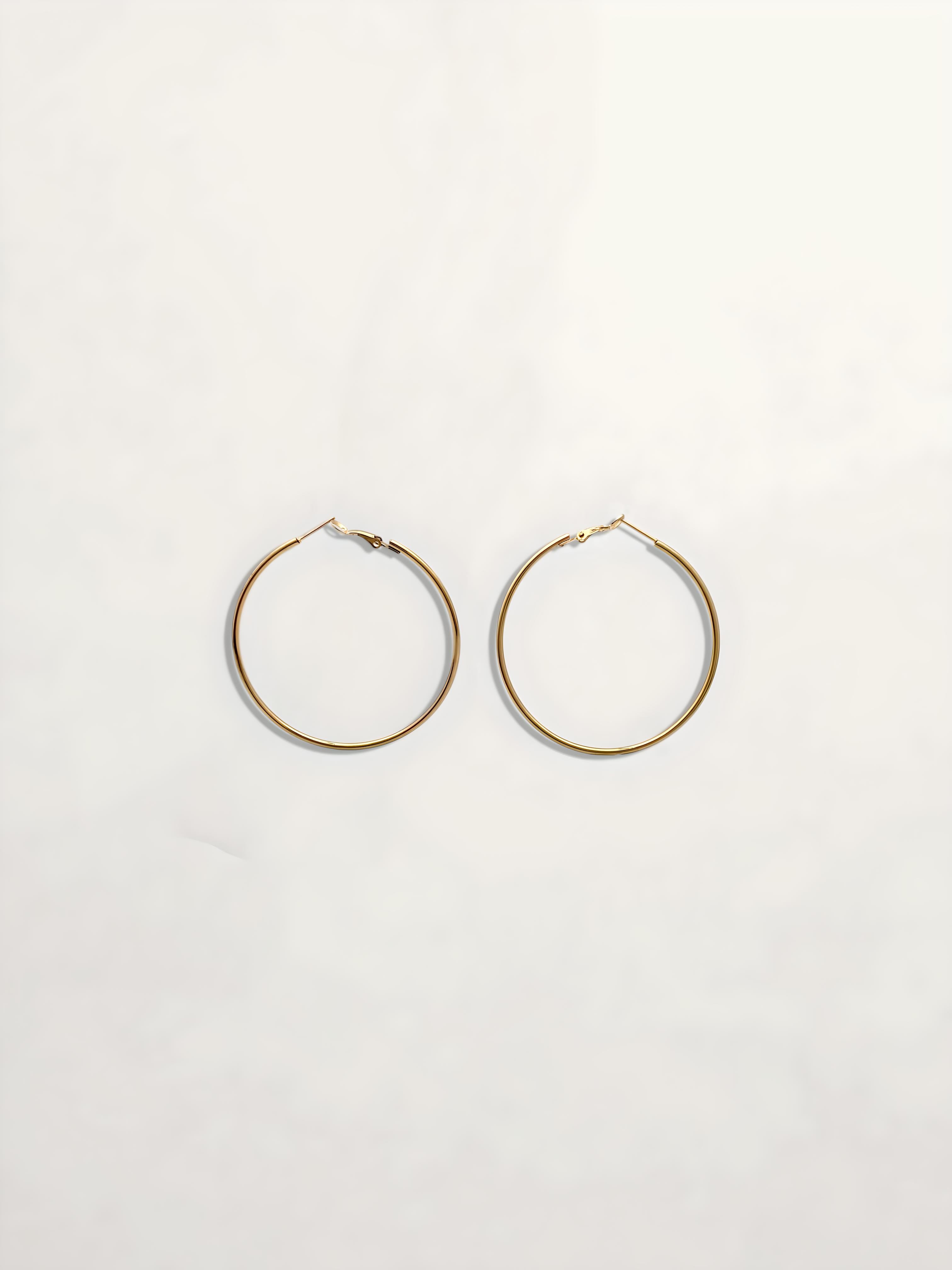 PENDIENTES AROS