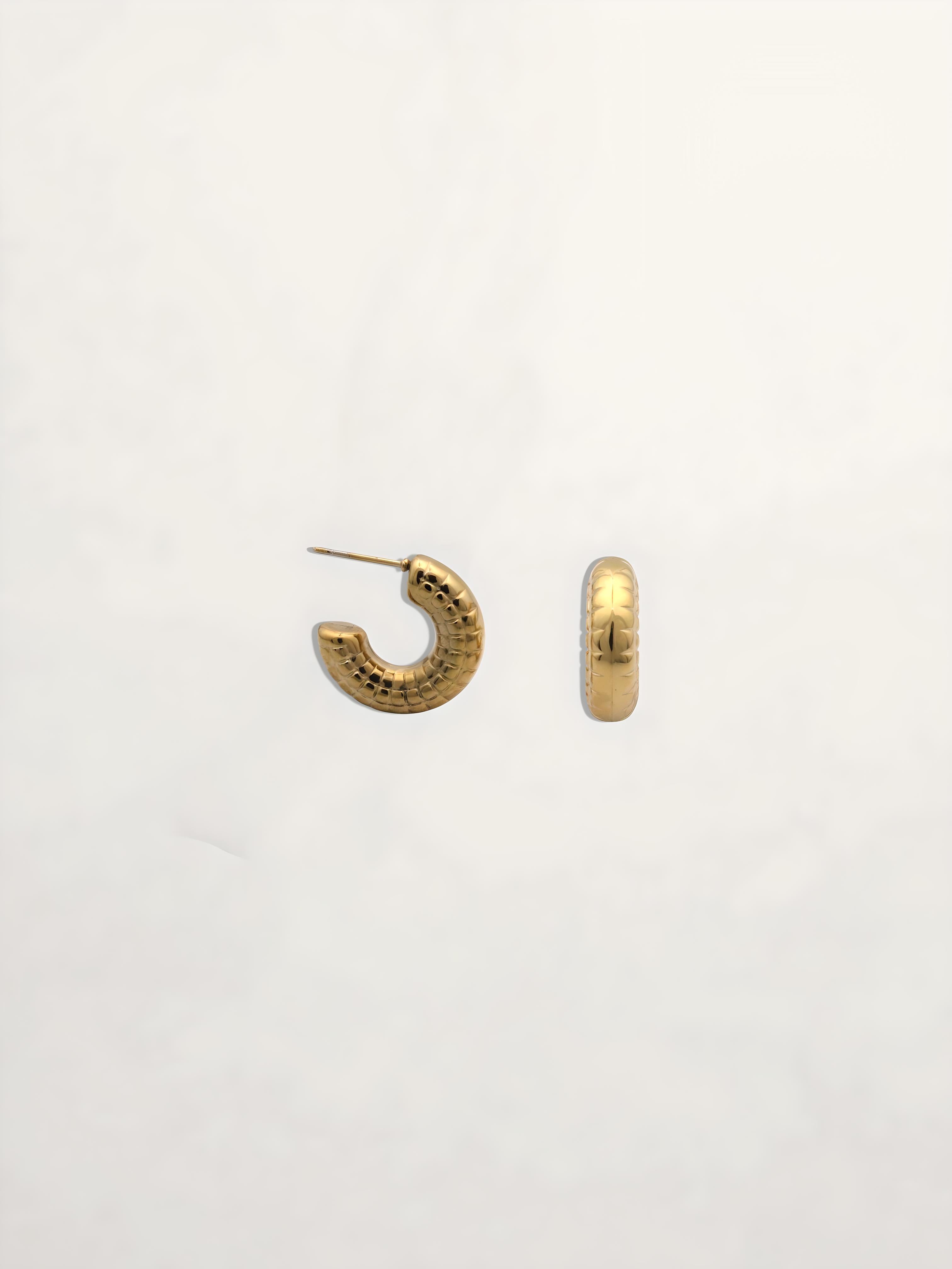 PENDIENTES ARO TEXTURA