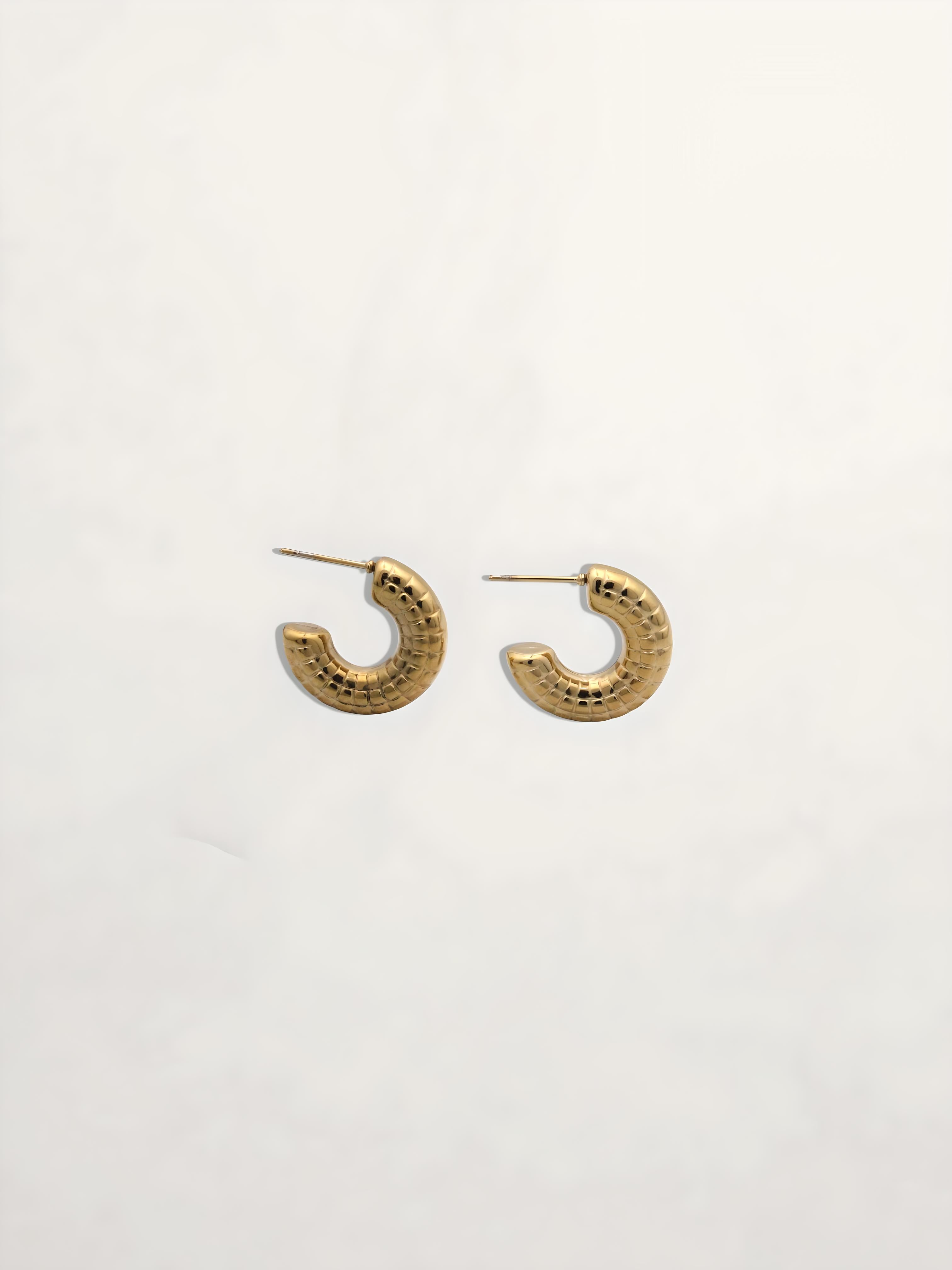PENDIENTES ARO TEXTURA