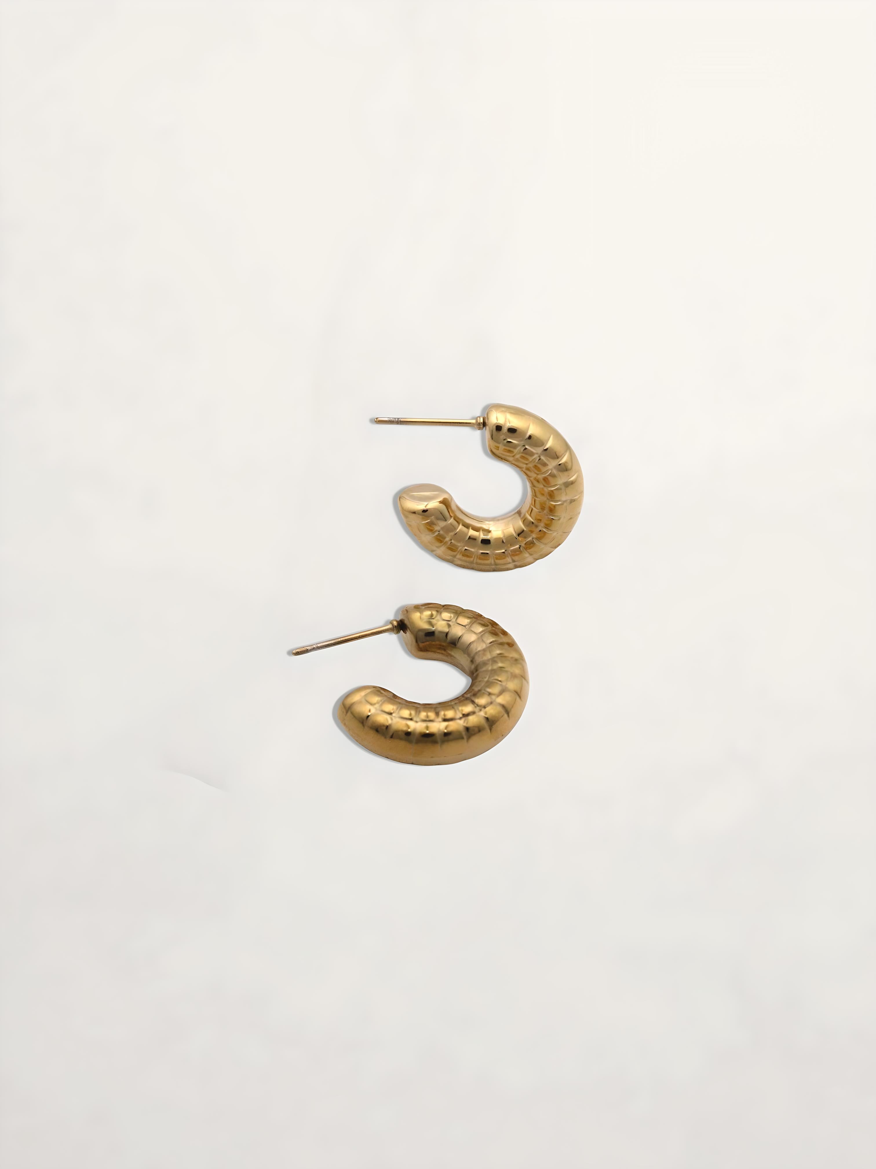 PENDIENTES ARO TEXTURA