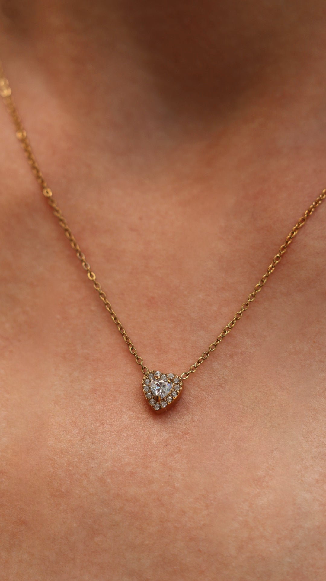 Dorado
