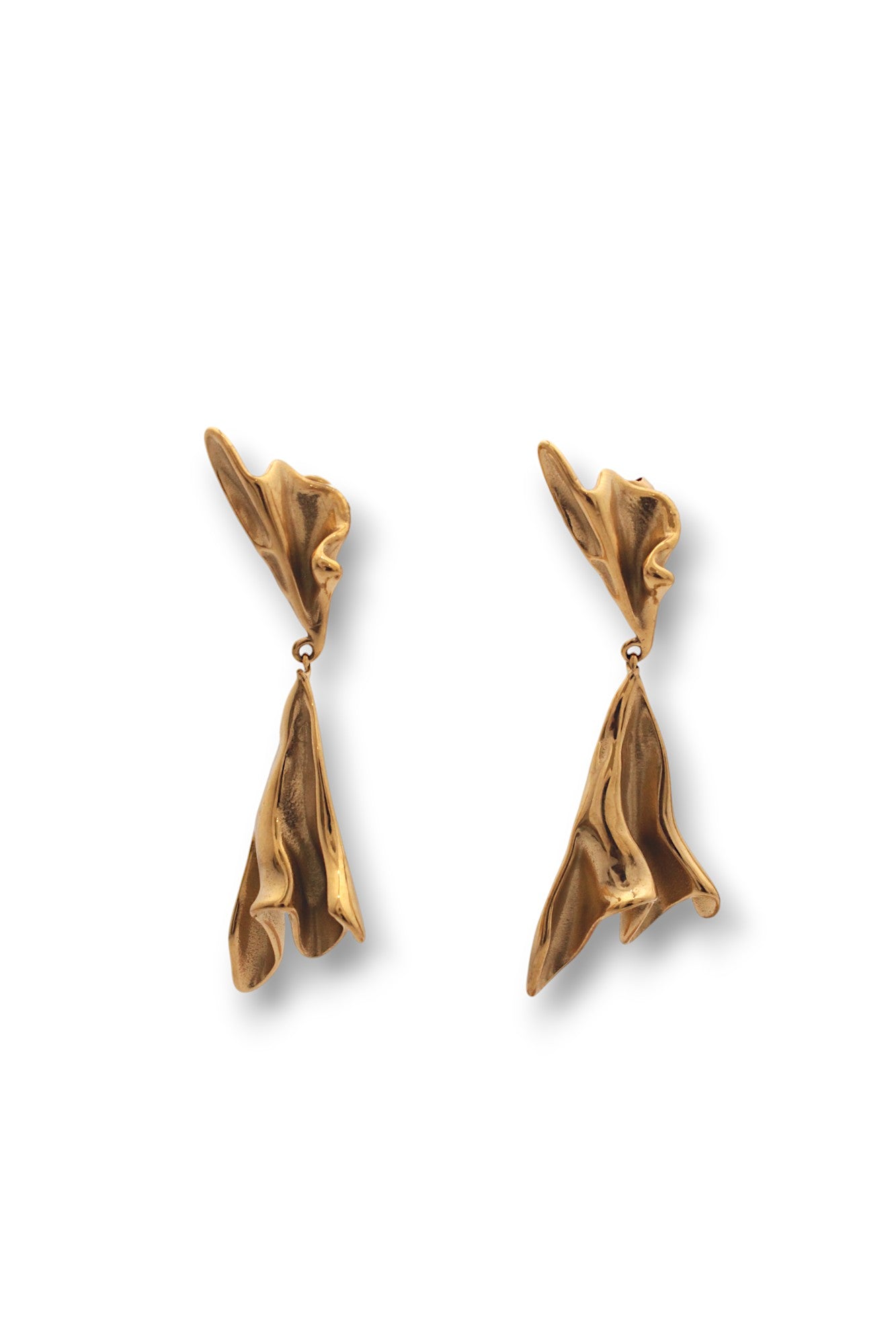 CLAVEL BAJO EL VIENTO